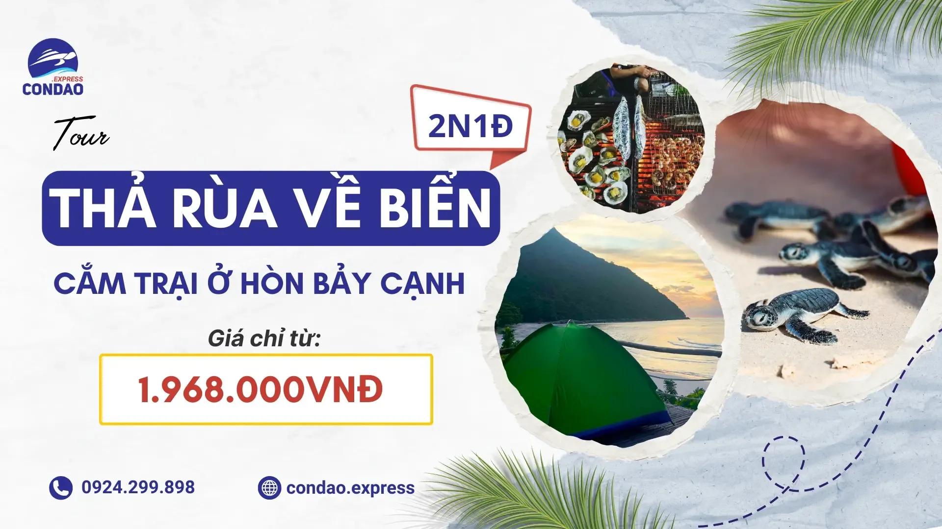 Tour thả rùa về biển Côn Đảo: lịch, giá, cách đăng ký