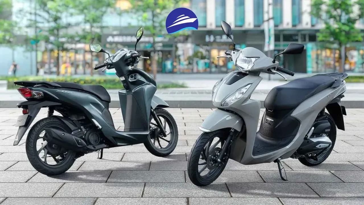 Thuê xe máy Côn Đảo (Honda Vision, giao tại bến tàu hoặc khách sạn)