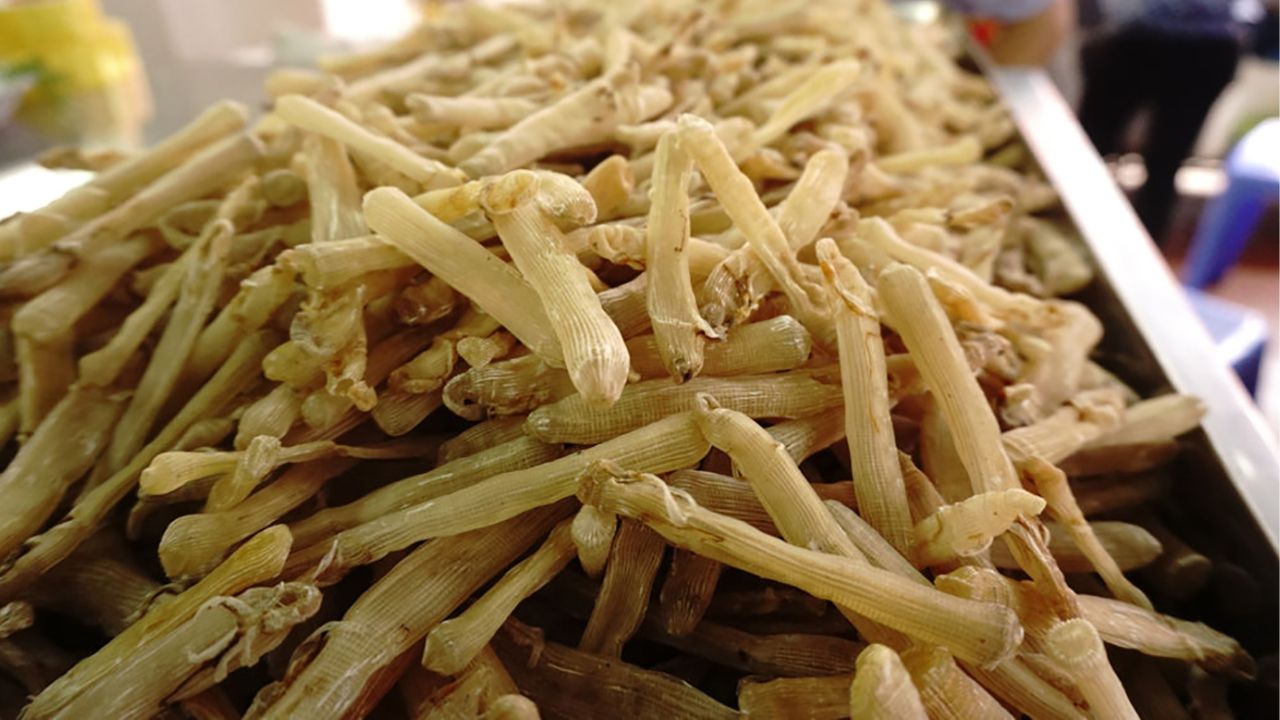 Đặc sản Sá Sùng Côn Đảo (Ảnh: Sưu tầm)
