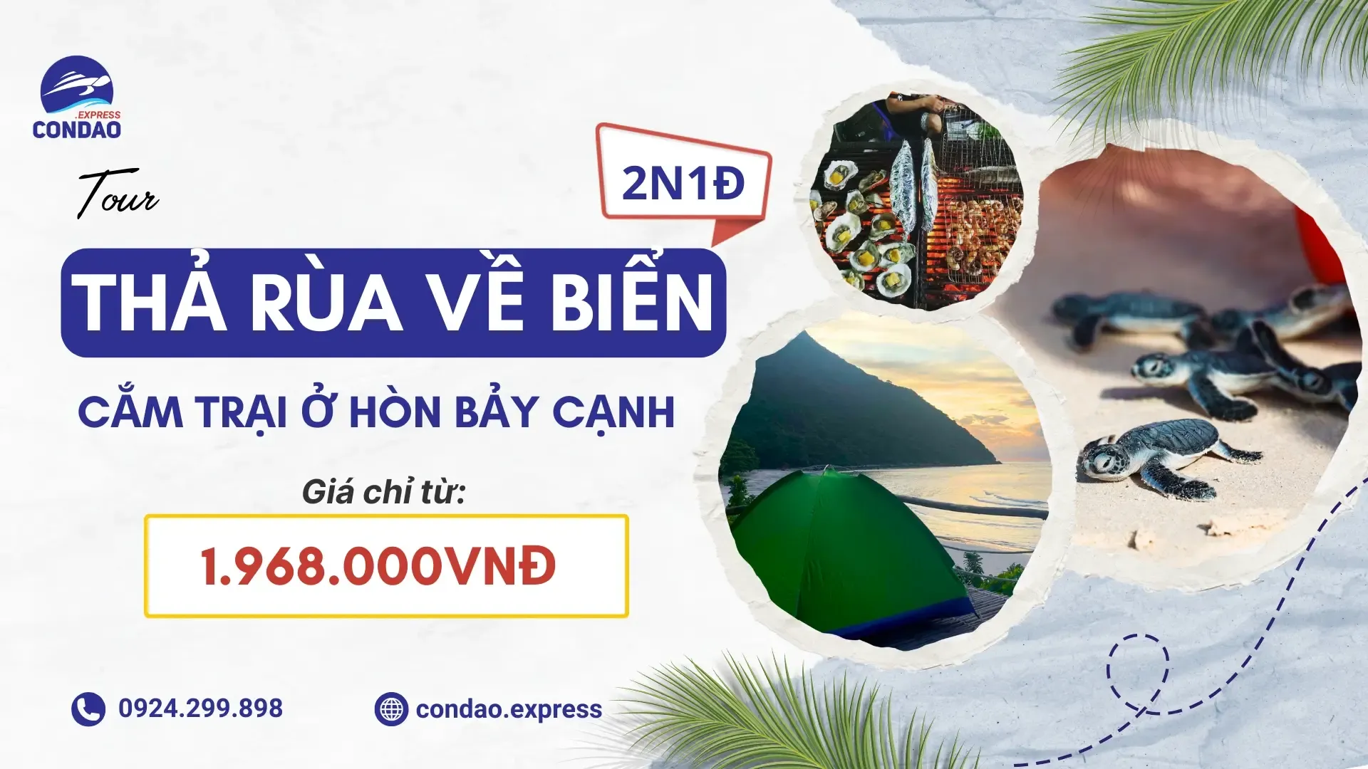 Tour thả rùa về biển kết hợp cắm trại Hòn Bảy Cạnh